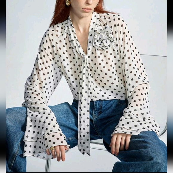 Women's Elegant Chiffon 3D Floral Ruffled Polka Dot Print Loose Blouse - Picture 1 of 4